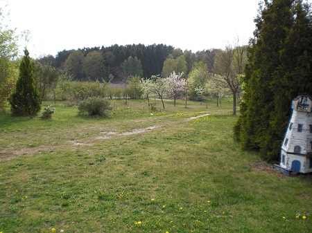 ObstBaumWiese